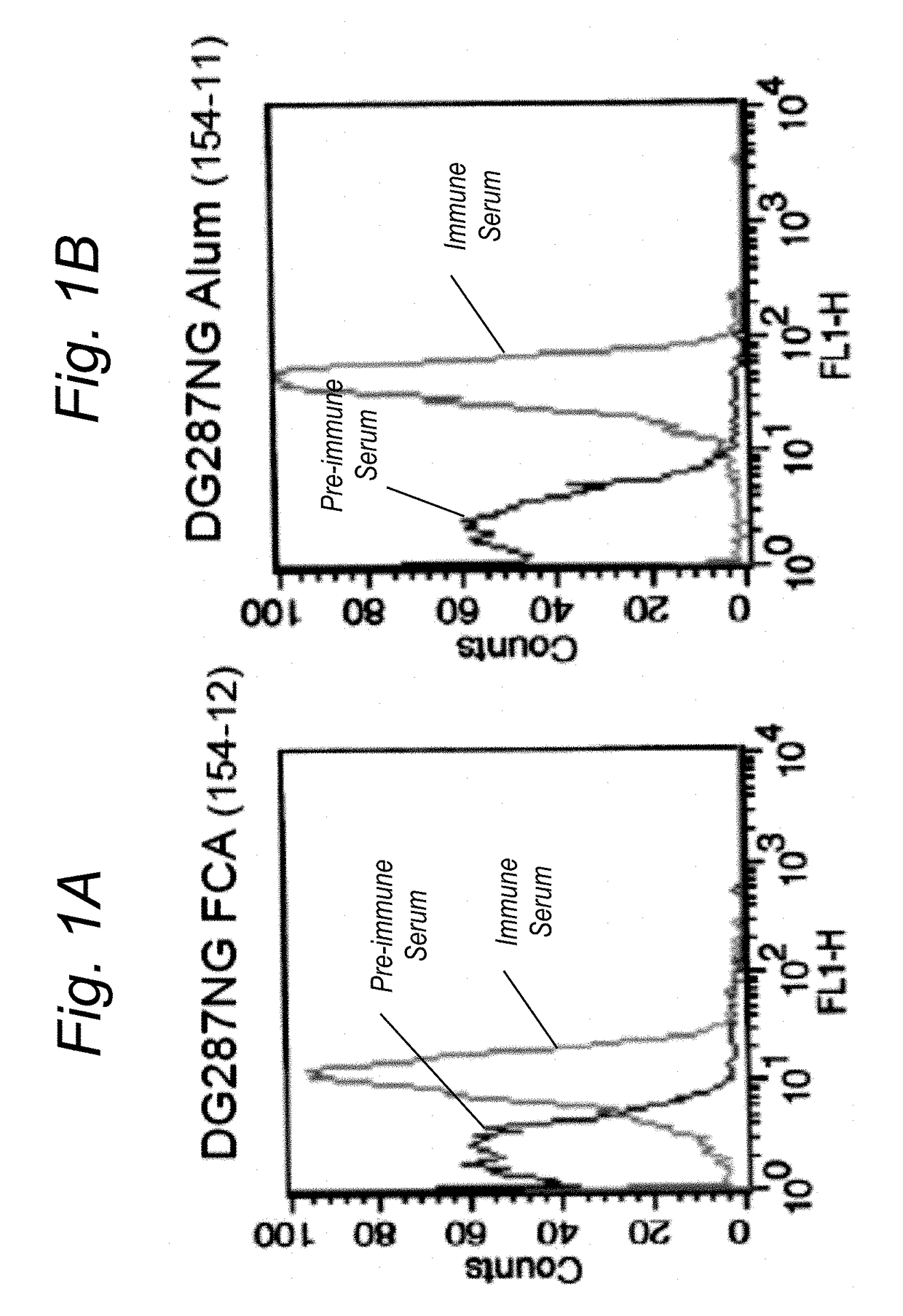 Vaccines for neisseria gonorrhoeae