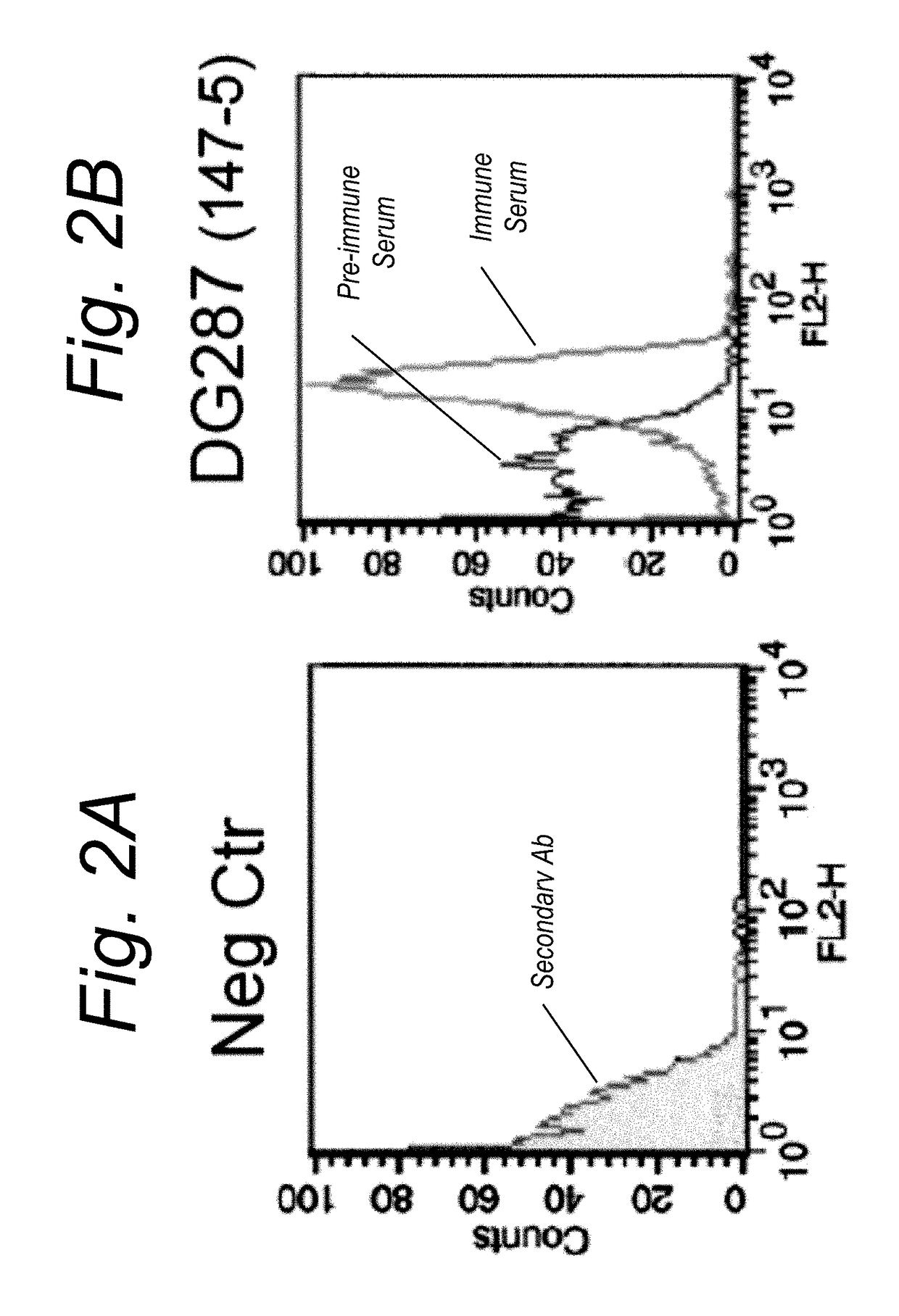 Vaccines for neisseria gonorrhoeae