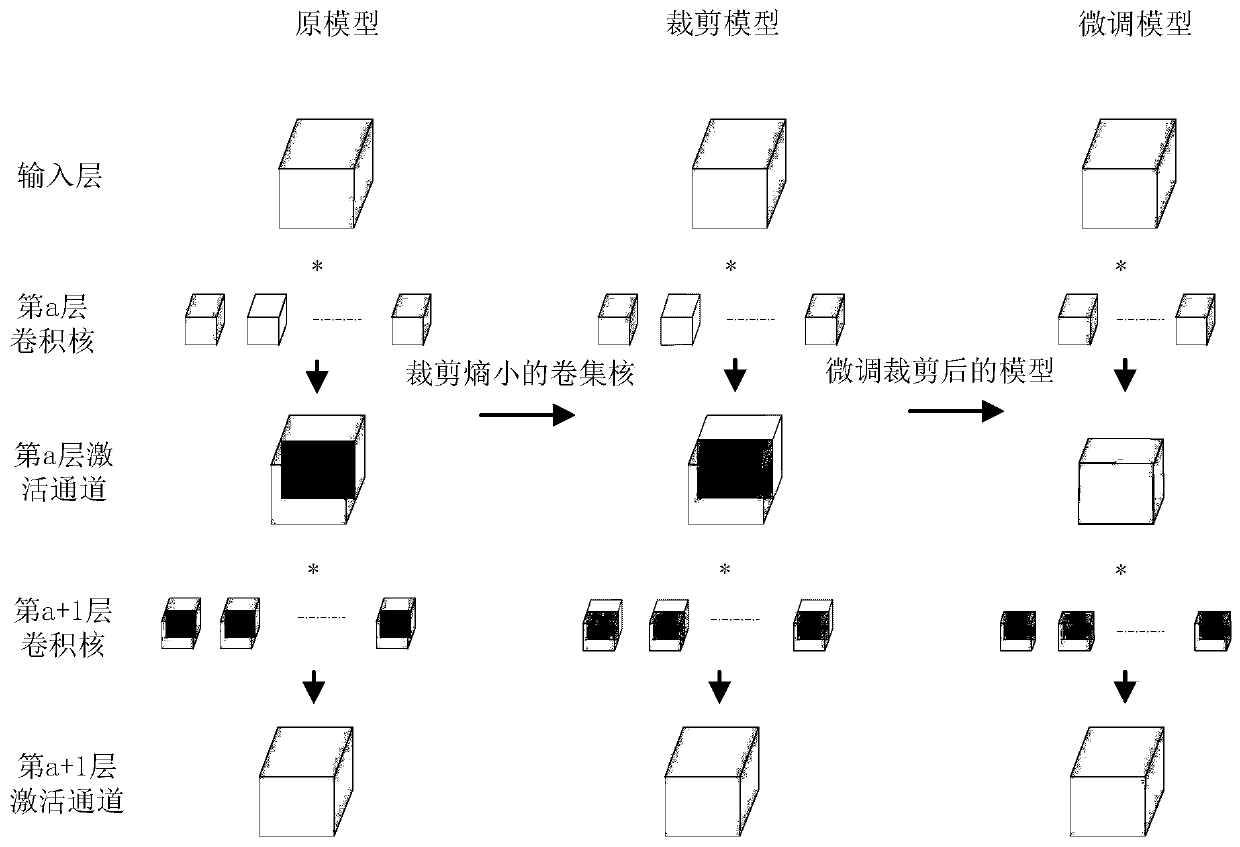 Convolution kernel cutting method based on entropy importance criterion model