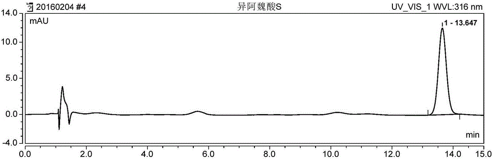 ASE method for extracting isoferulic acid in Rhizoma Cimicifugae