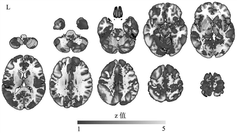 Whole-brain individualized brain function map construction method based on independent component network