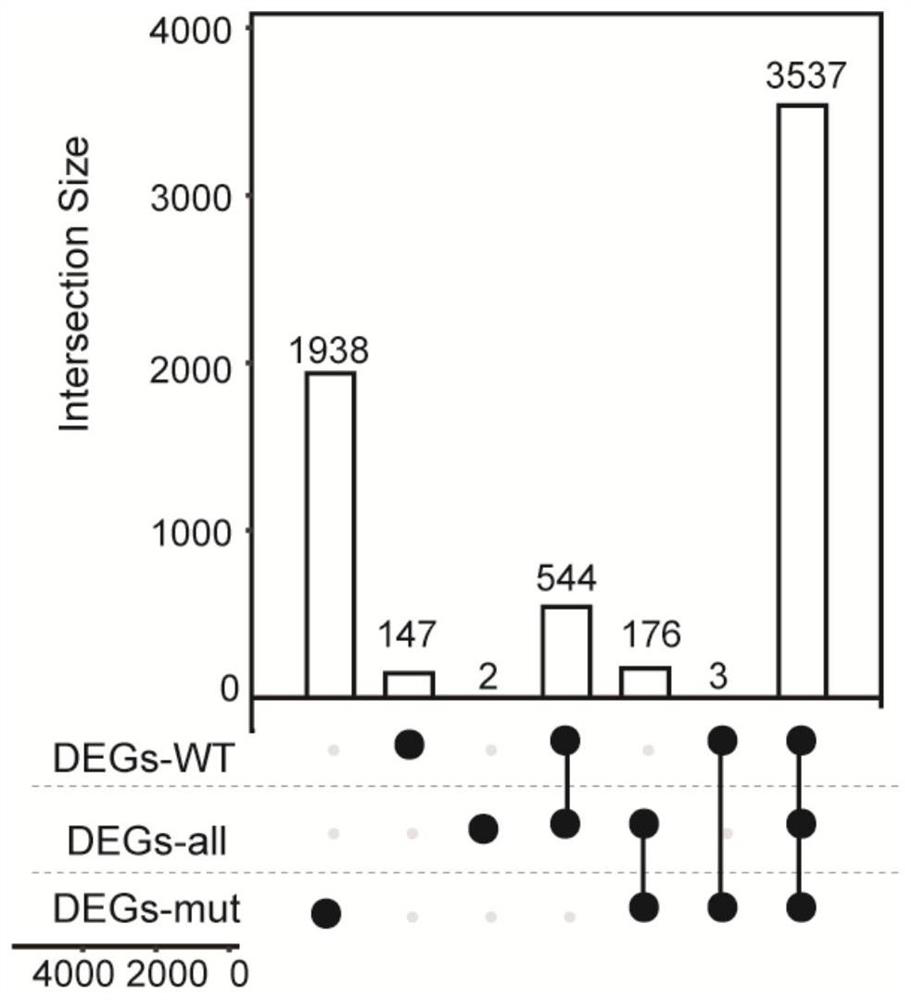 Method for screening glioma biomarker based on PTEN gene state