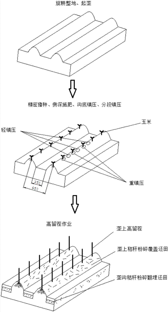 Mechanized crop rotation method for corn and soybeans in northeast ridge planting region