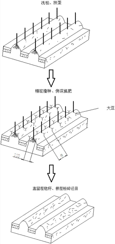 Mechanized crop rotation method for corn and soybeans in northeast ridge planting region