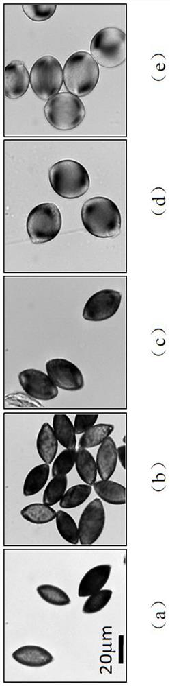 A method for detecting organic solvent content in mixed solution