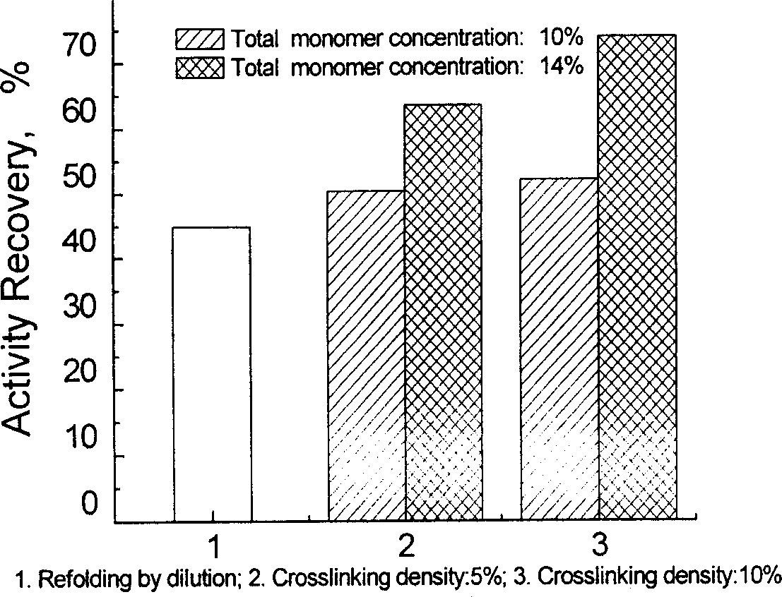 Method for assisting lysozyme renaturation by temperature sensitive type poly N-isopropyl acrylamide gel