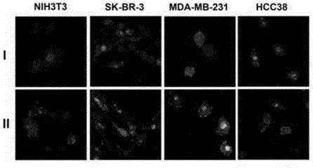 Application of vitamin E polyethylene glycol succinate and derivatives thereof in preparation of hydrogel nanoparticle preparation of prodrug of hydrophilic medicine