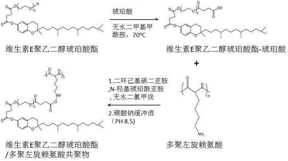 Application of vitamin E polyethylene glycol succinate and derivatives thereof in preparation of hydrogel nanoparticle preparation of prodrug of hydrophilic medicine