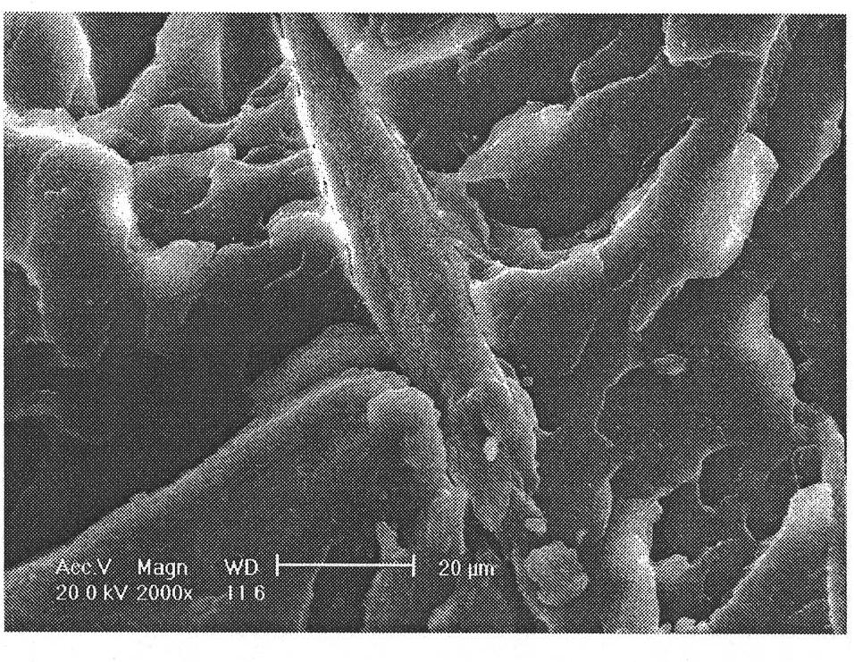 Modified chitosan fiber and polylactic acid composite material and preparation method thereof