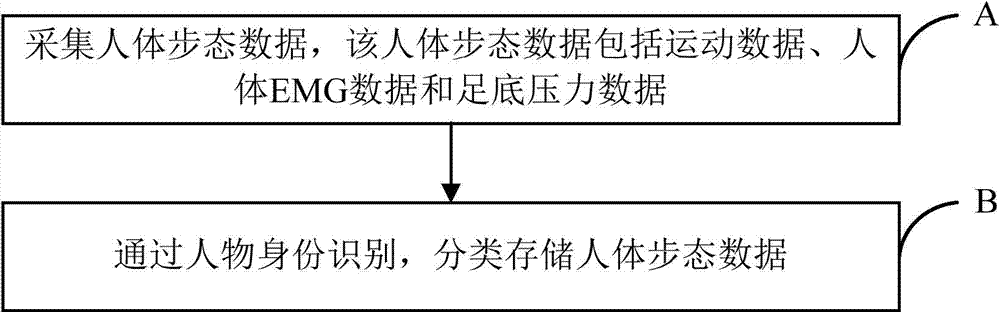 Human body gait database and establishment method thereof