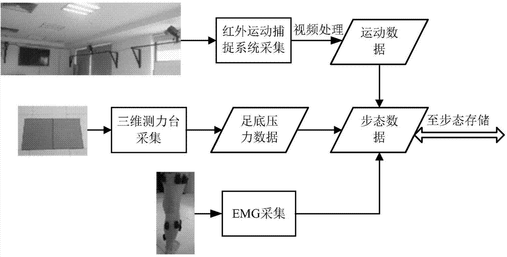 Human body gait database and establishment method thereof