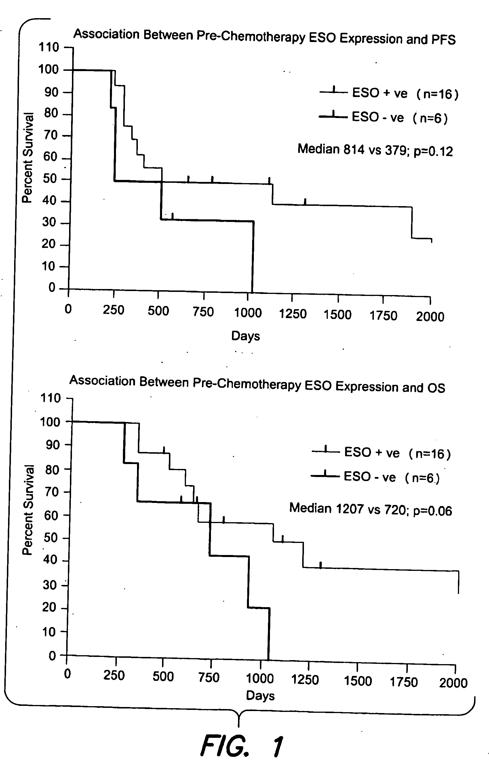 Cancer testis antigens as biomarkers in non-small cell lung cancer