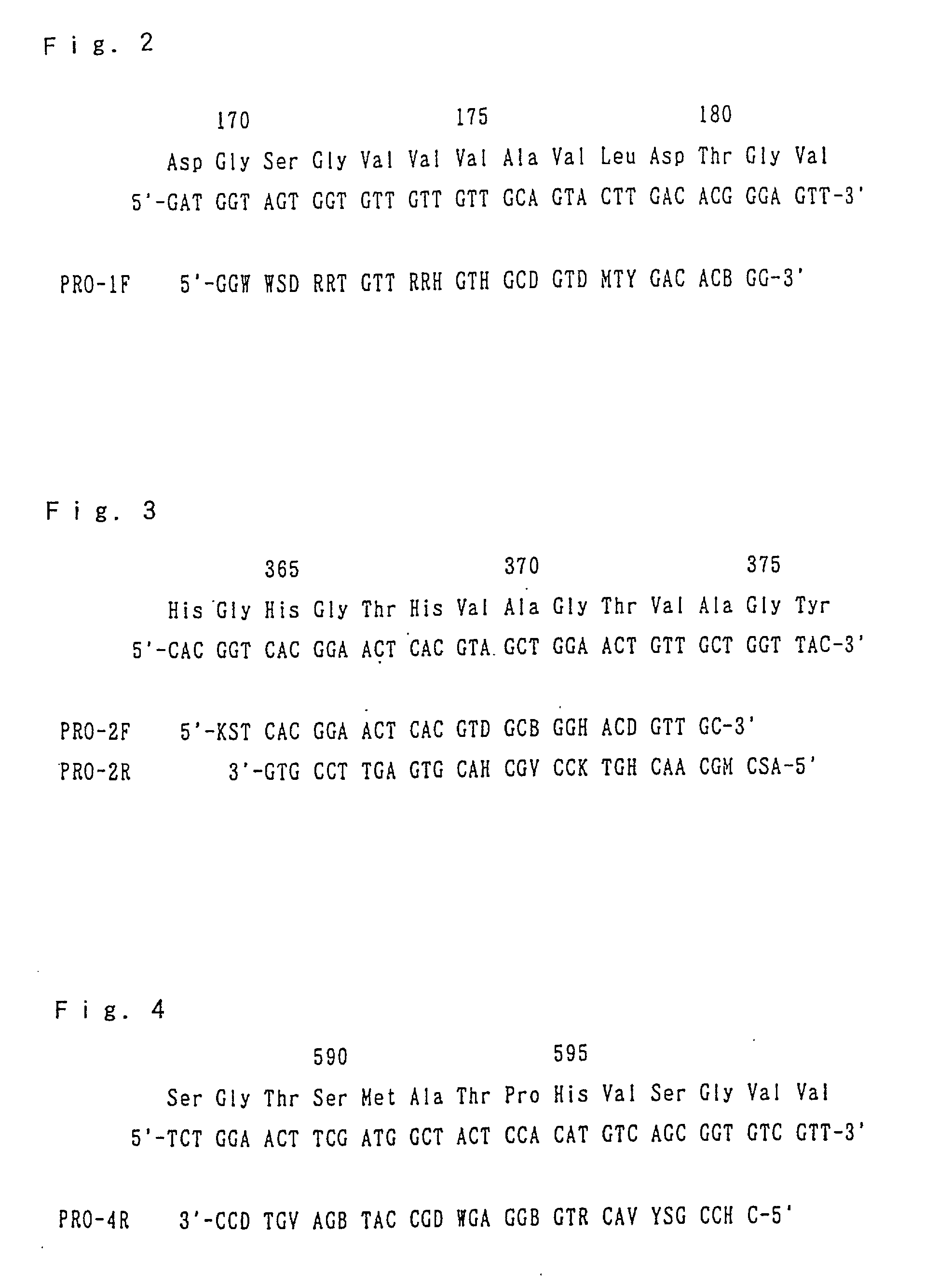 Hyperthermostable protease gene