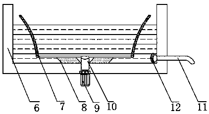 Fiddlehead sterilizing device using ozone water to disinfect