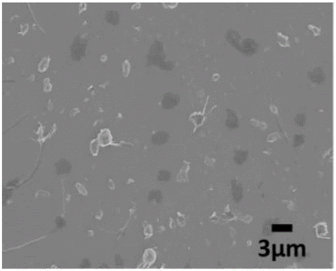 Method for preparing rubber nanocomposite by peeling expanded graphite through in-situ reaction