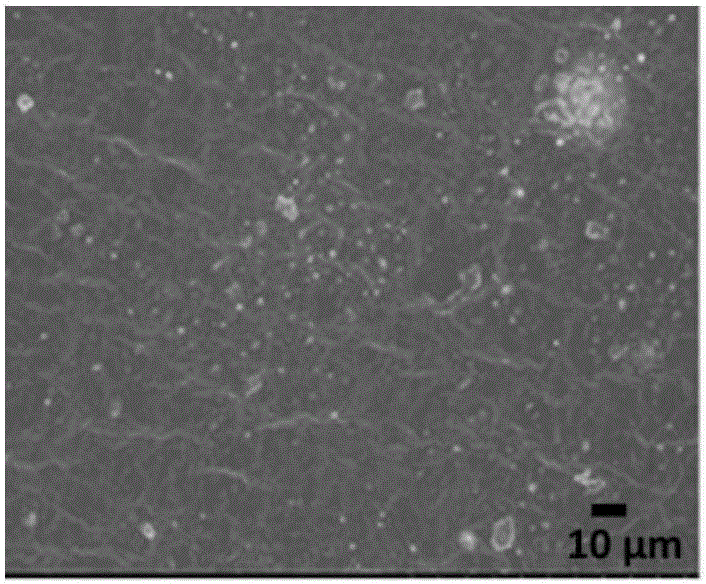 Method for preparing rubber nanocomposite by peeling expanded graphite through in-situ reaction