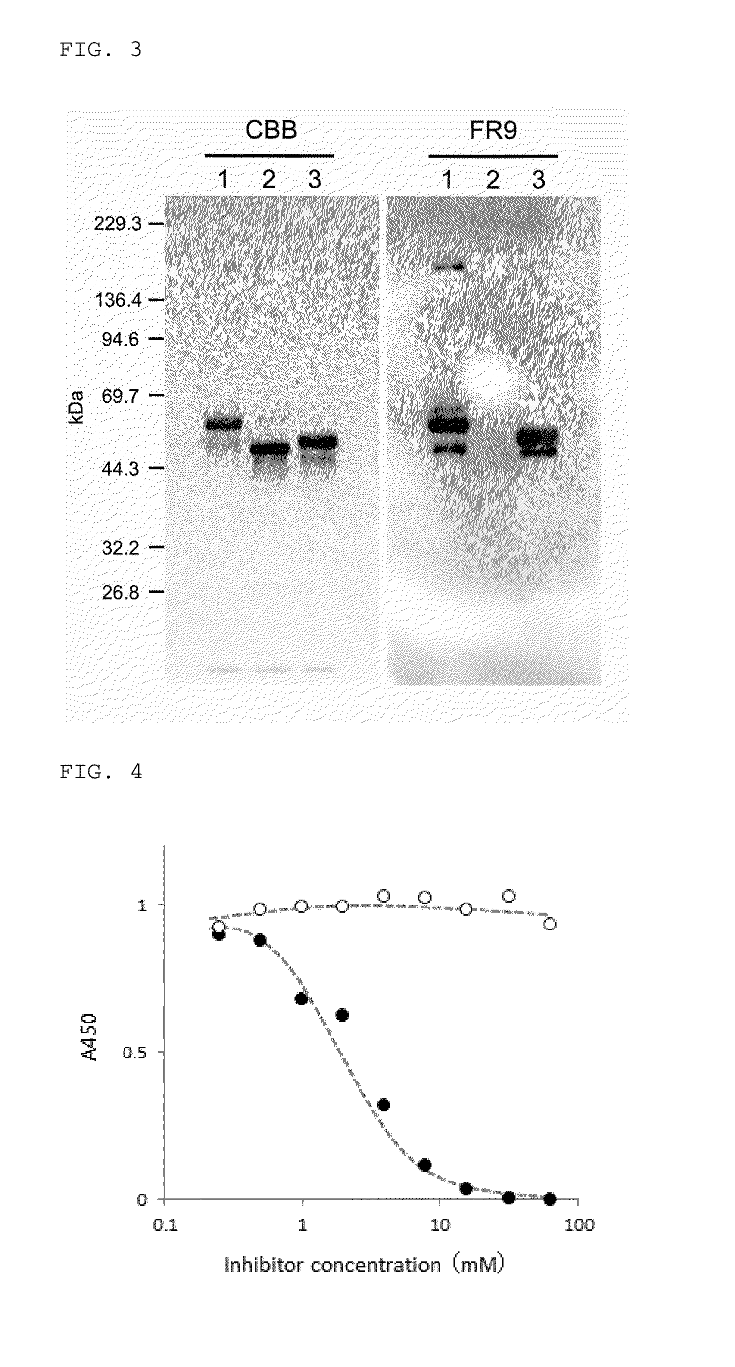 Monoclonal antibody recognizing sialylated sugar chains