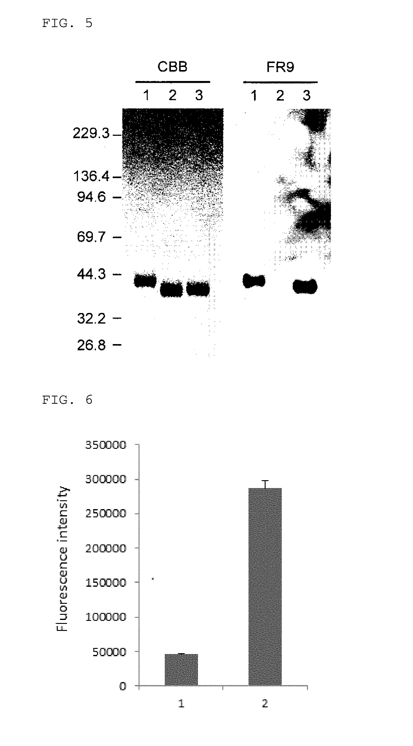 Monoclonal antibody recognizing sialylated sugar chains