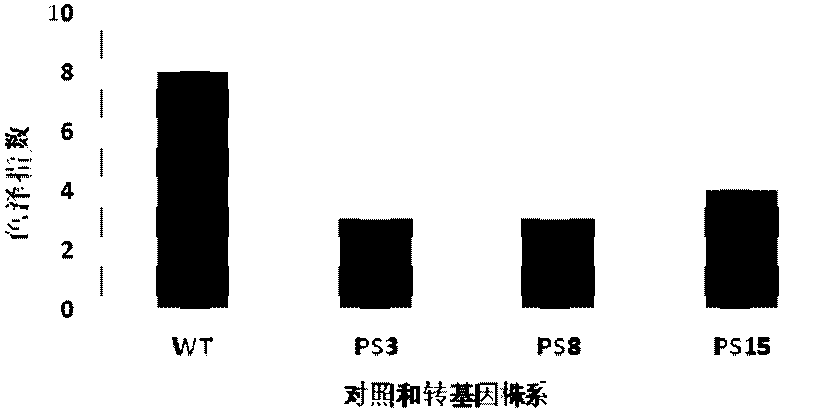 Protein and gene for adjusting and controlling low temperature saccharification of potato as well as application thereof