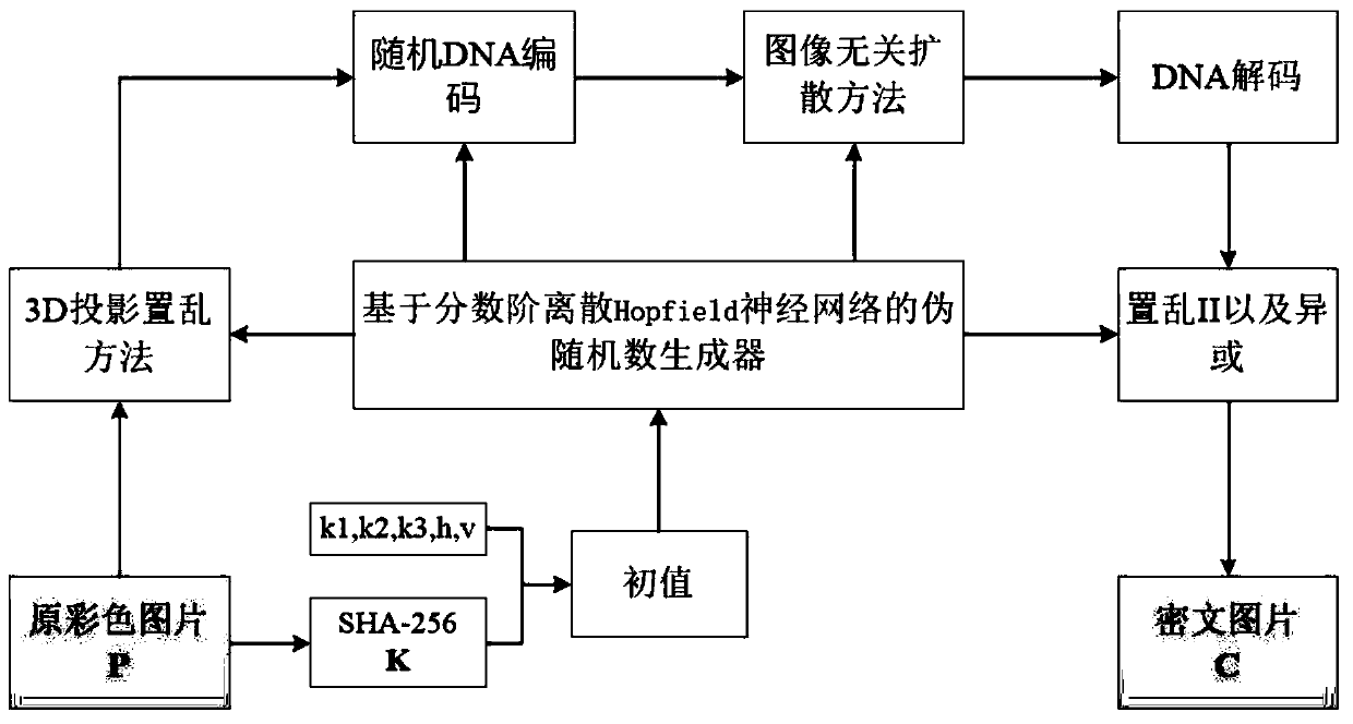 Color image encryption method based on fractional order discrete neural network and DNA operation