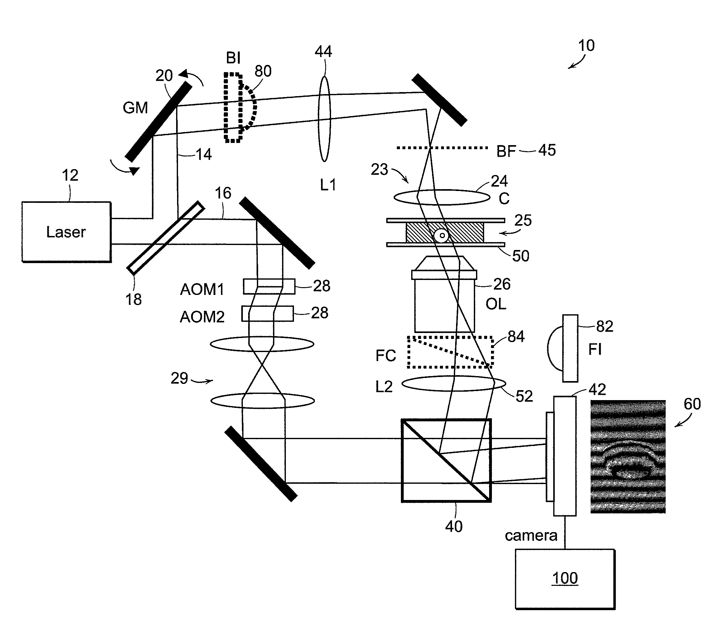 Tomographic phase microscopy