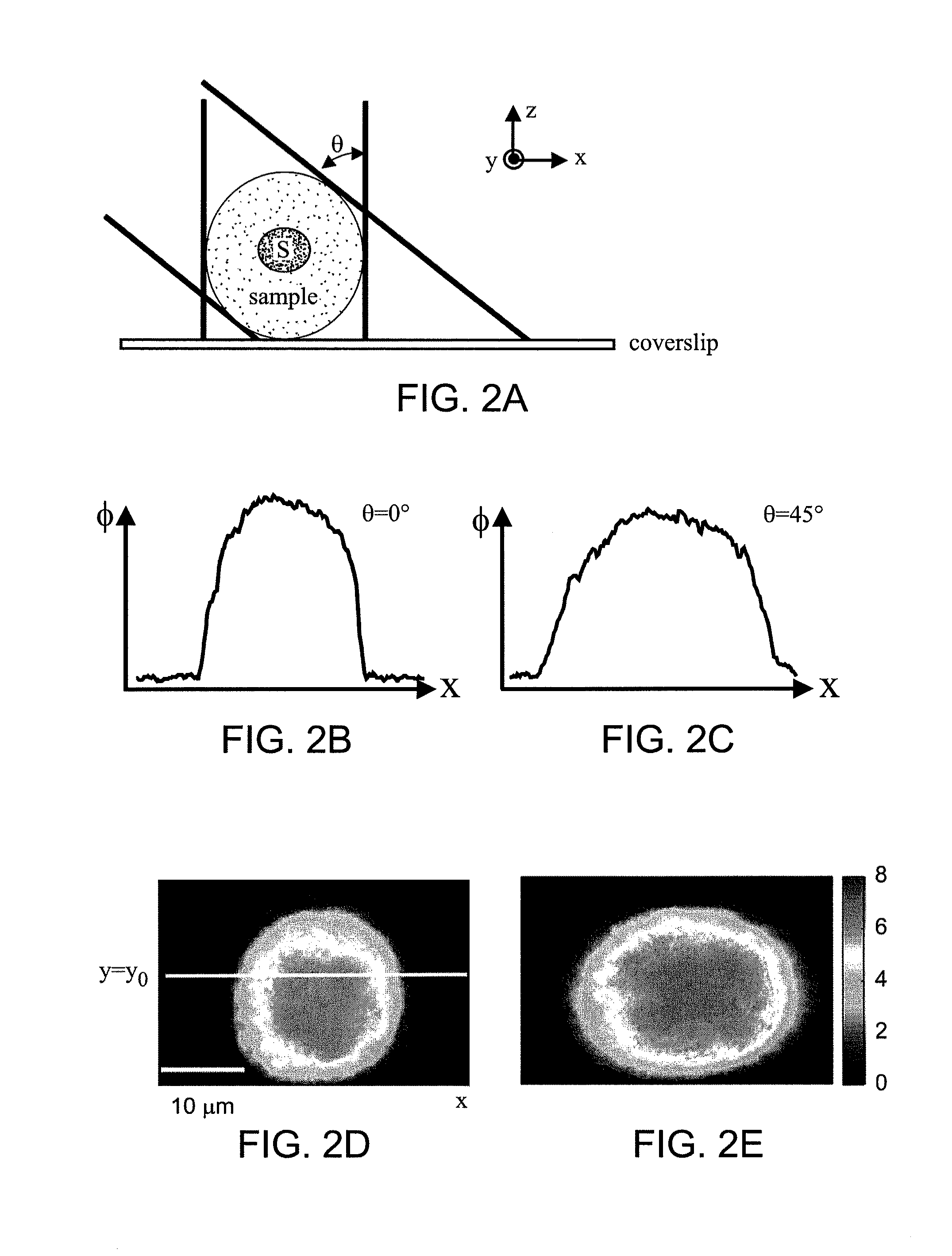 Tomographic phase microscopy