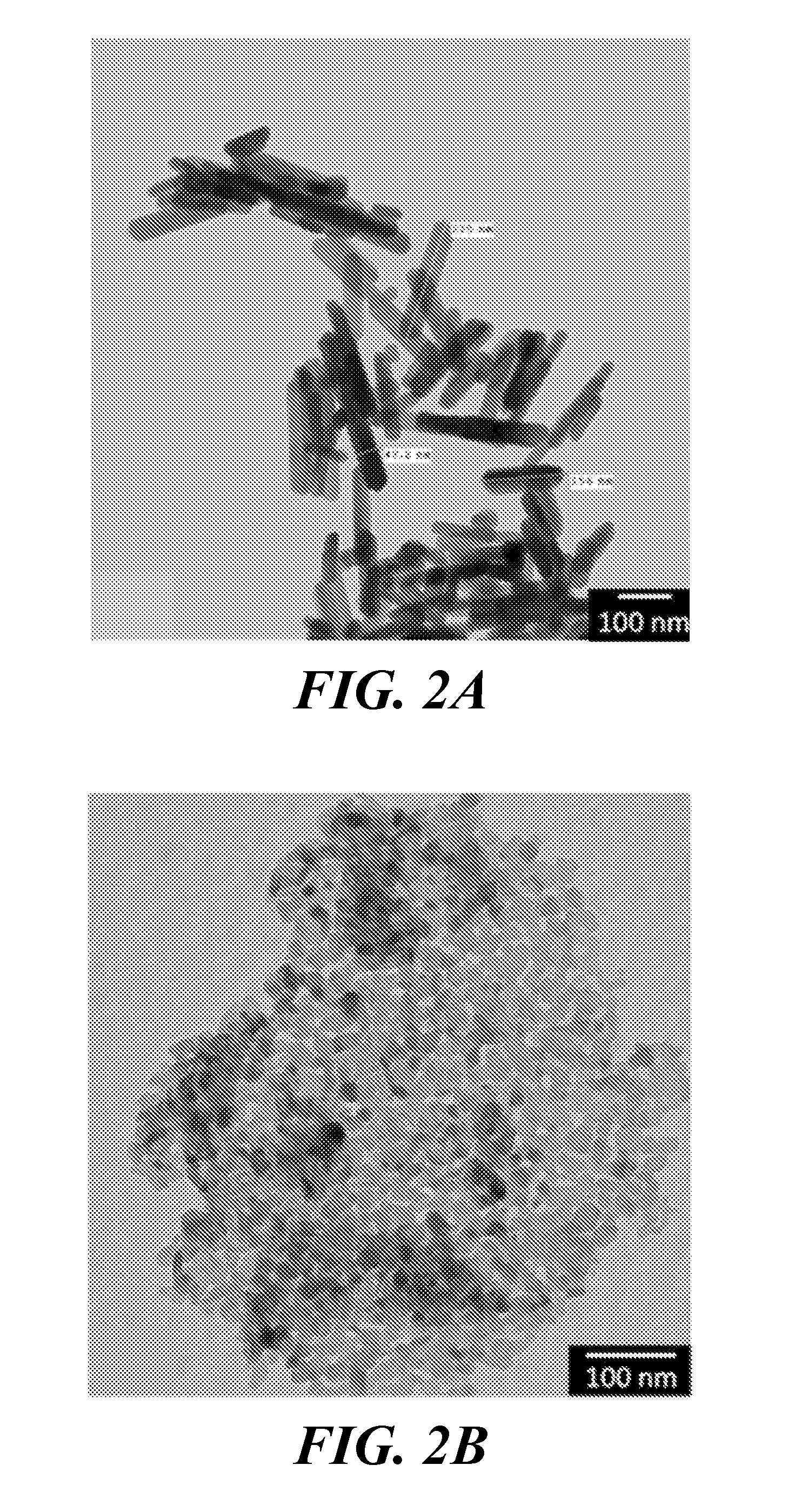 Nanomaterials for the integration of soft into hard tissue