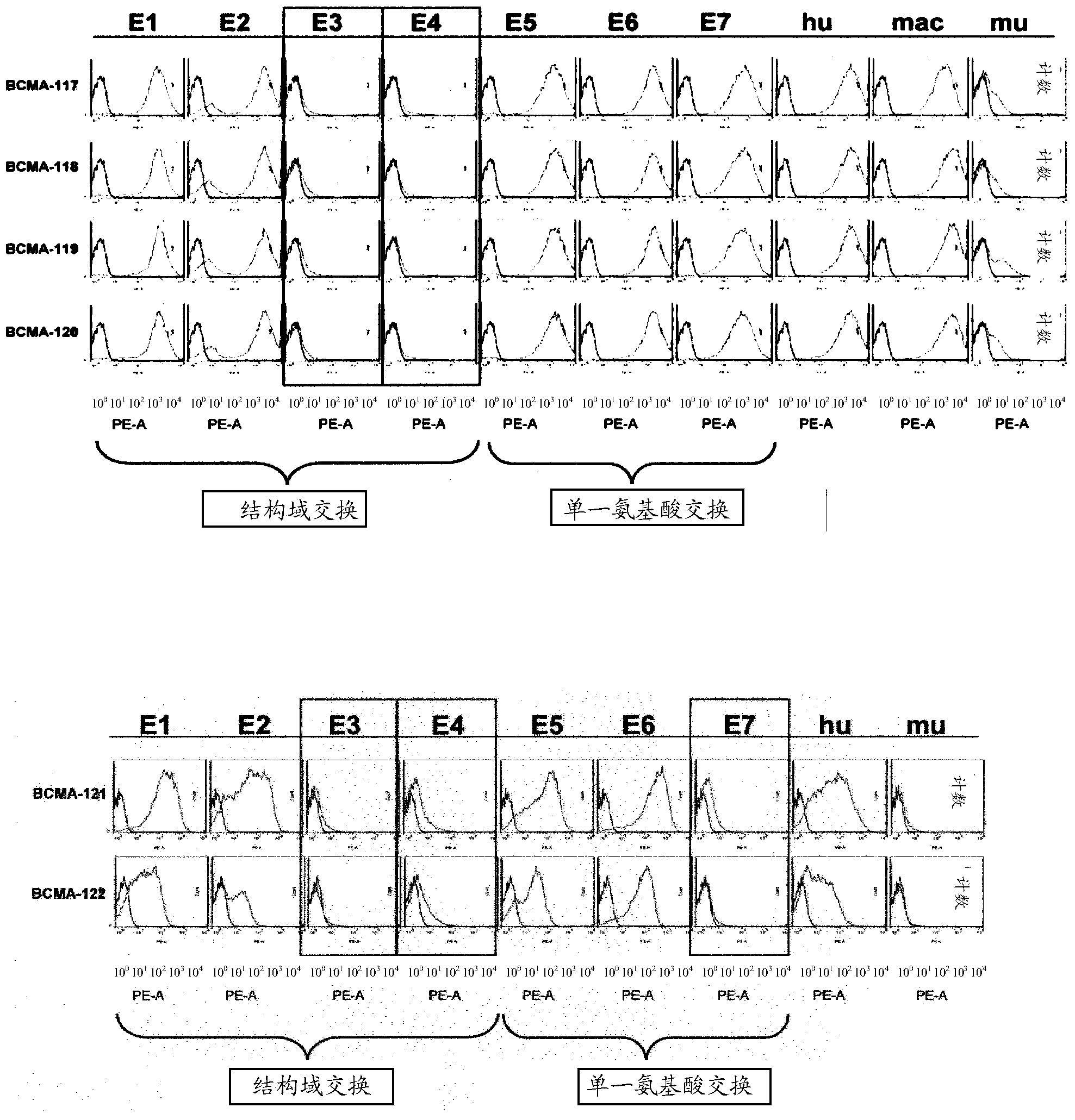 Binding molecules for BCMA and CD3