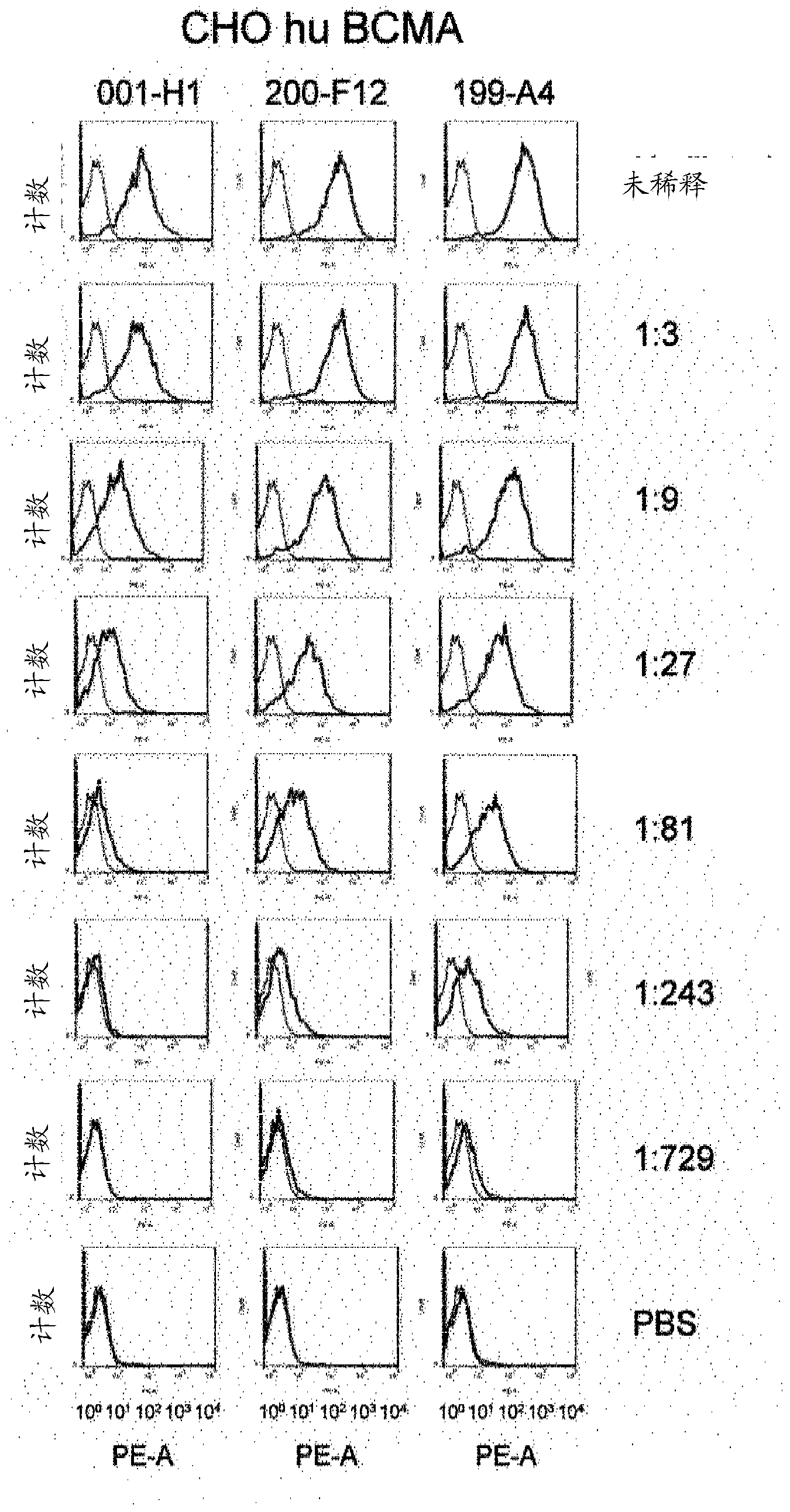 Binding molecules for BCMA and CD3