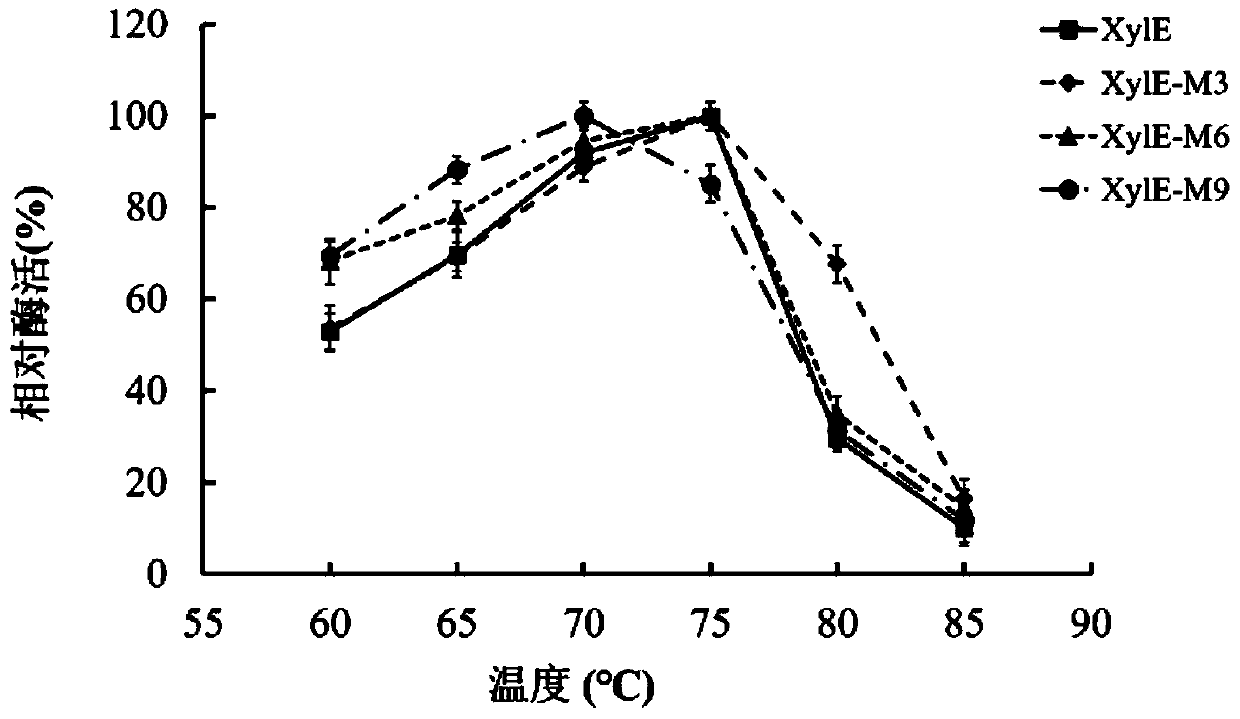 High-catalytic-efficiency xylanase mutant as well as construction method and application thereof