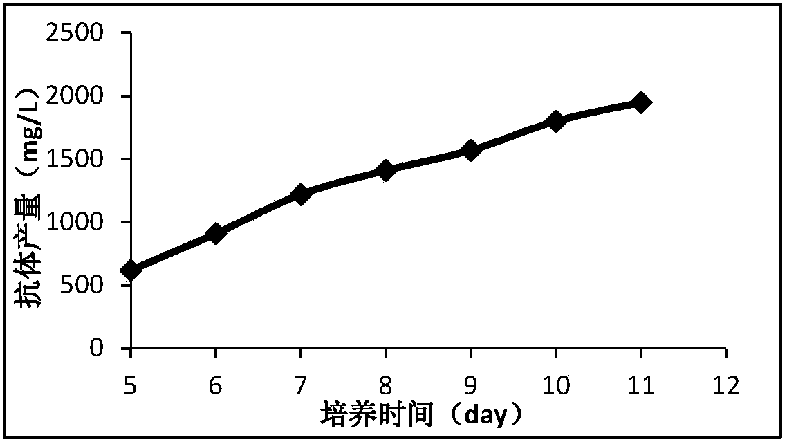 Cell culture medium and method for producing protein