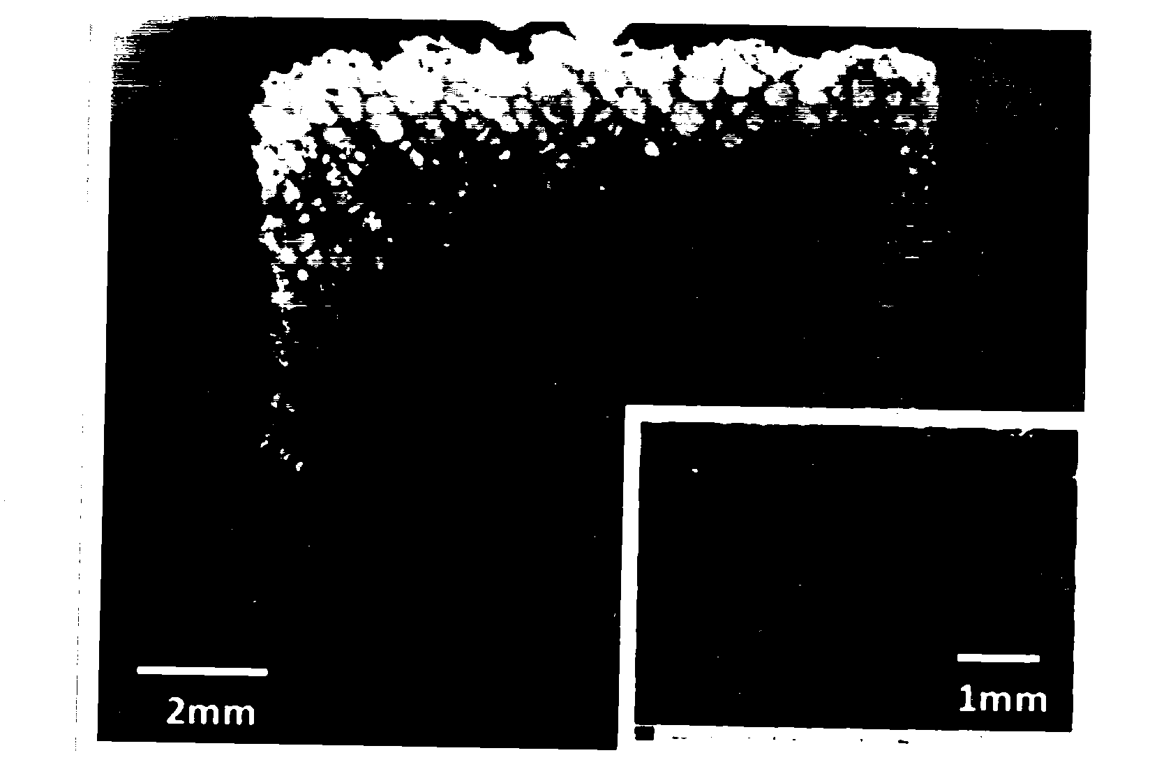 Bone repair stent material and preparation method thereof