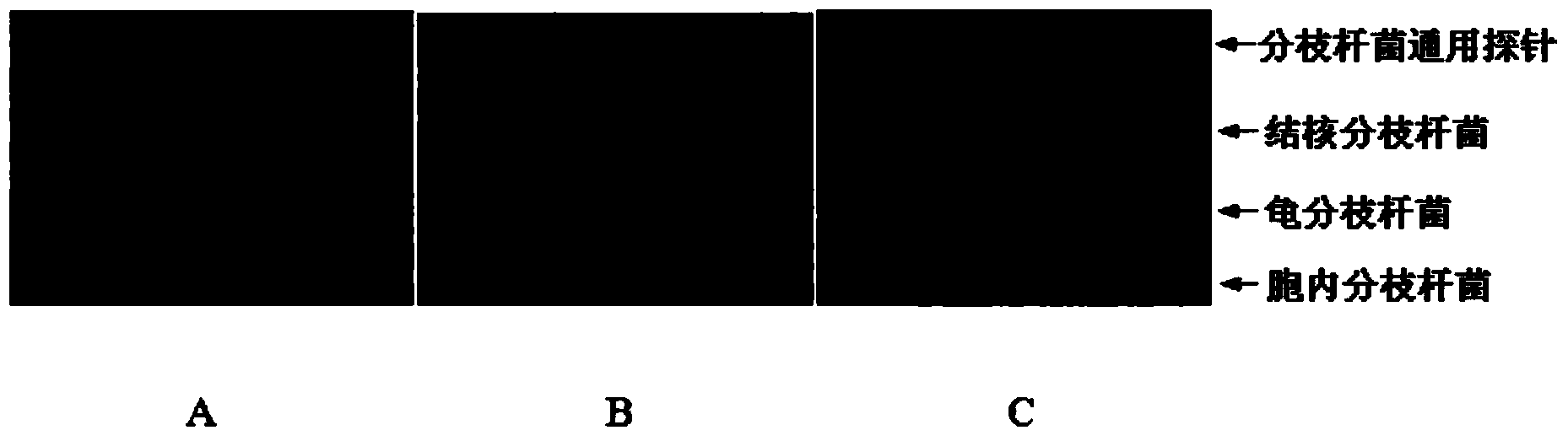 Gold deposition detection method for gene chip