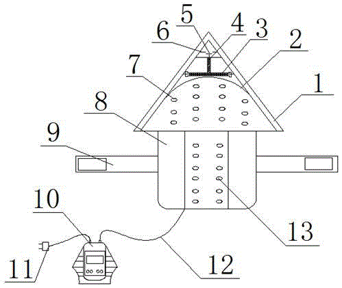 Electric moxibustion diagnosis and therapy instrument for head