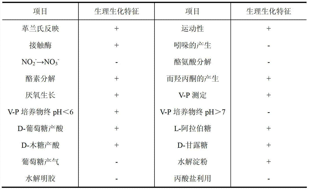 Bacillus coagulans and preparation method and application in biological deodorant thereof