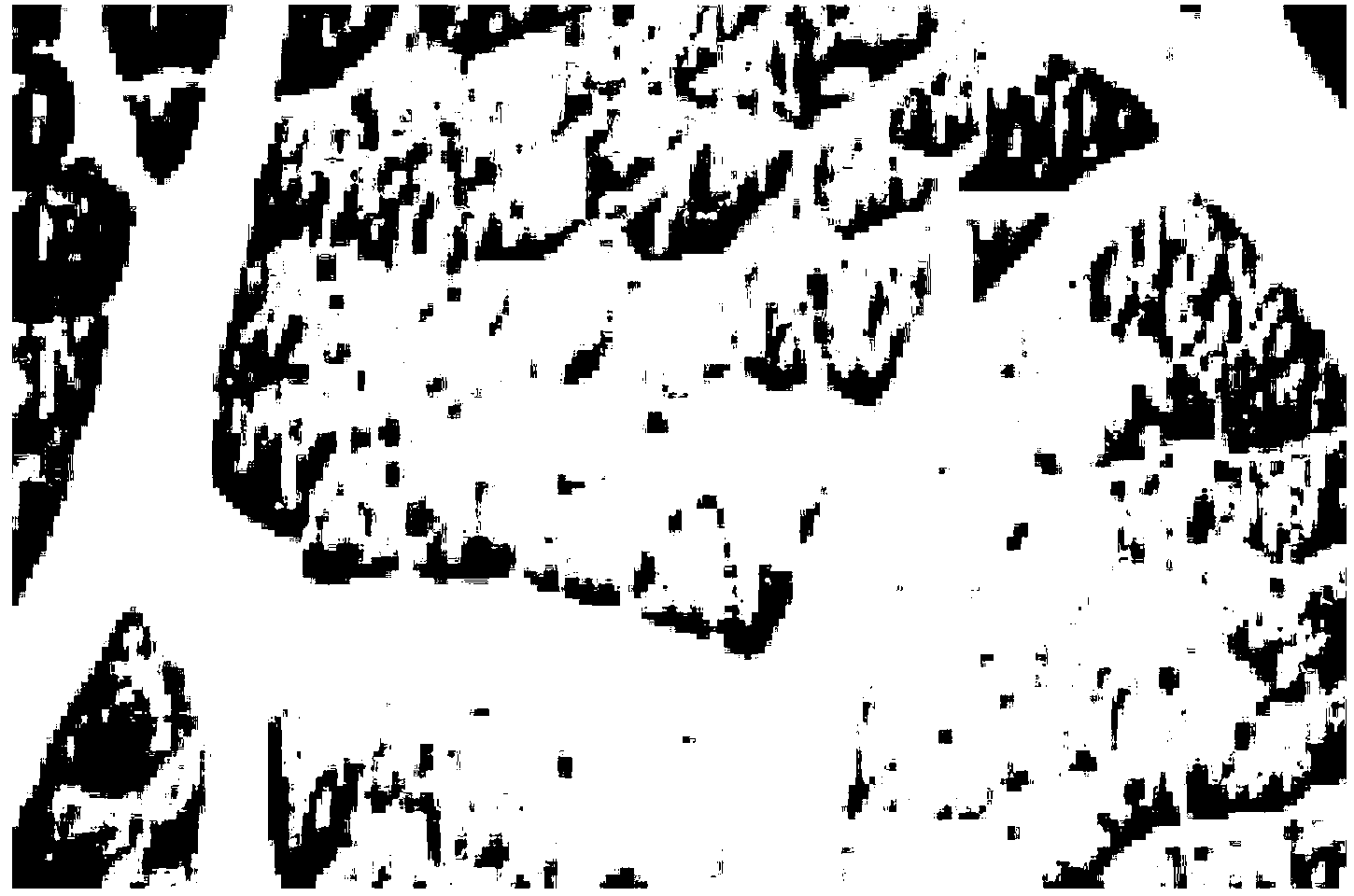 Vidarabine monophosphate pharmaceutical composition and preparation method thereof