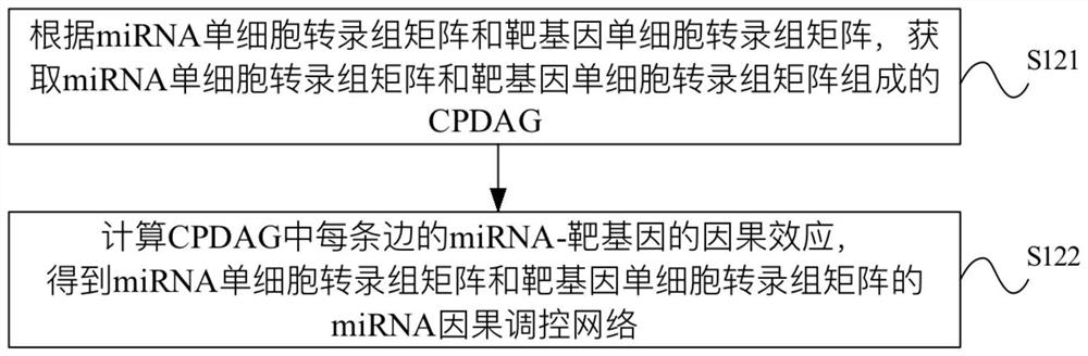 miRNA causal regulation network identification method, device, electronic equipment and storage medium