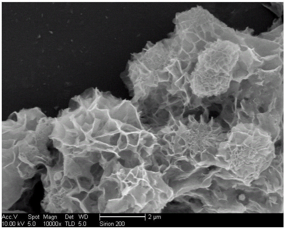 Micro-nano structure bismuth oxide material and preparation method thereof