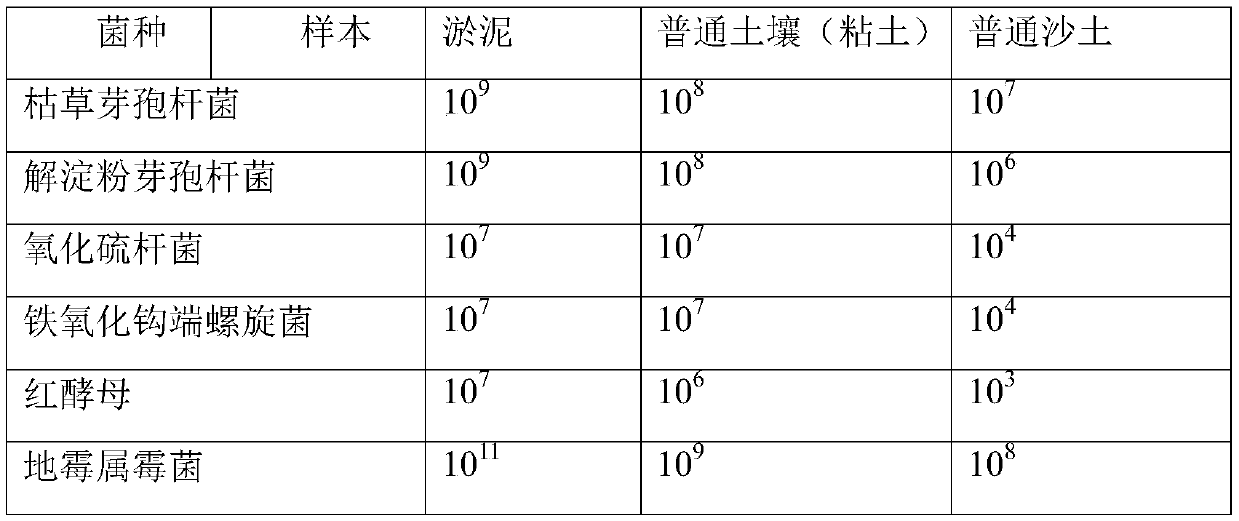 A kind of composite bacterial agent and its method for preparing tobacco planting organic fertilizer