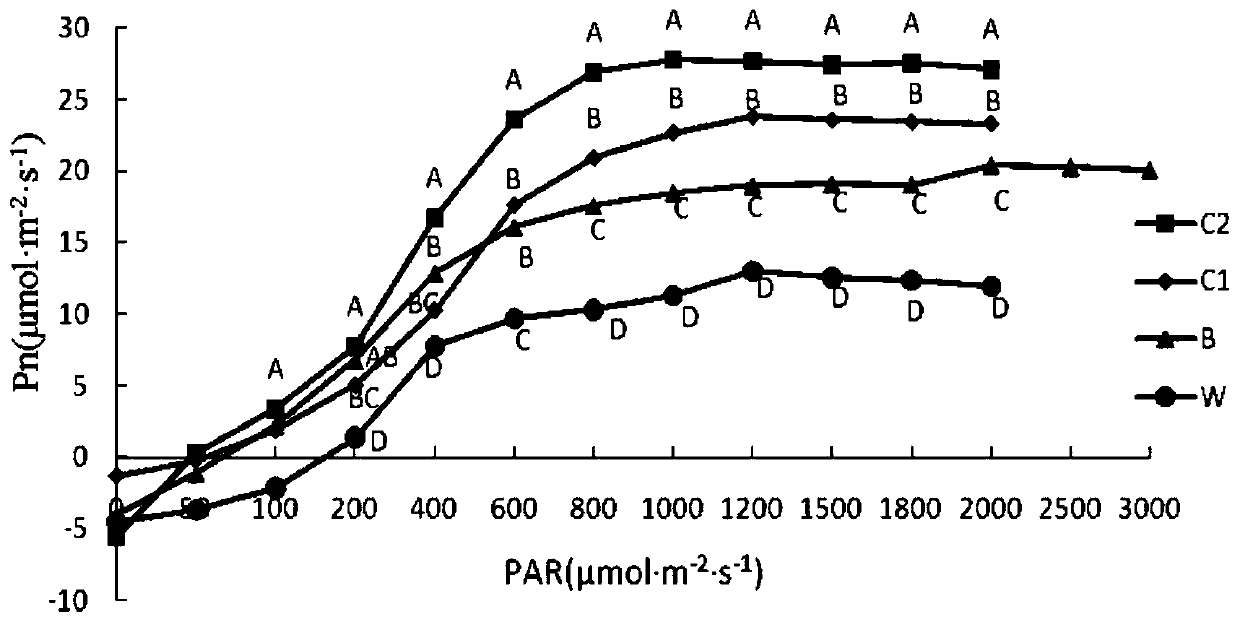 A method for establishing artificial grassland under a photovoltaic rack