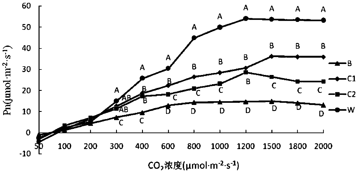 A method for establishing artificial grassland under a photovoltaic rack