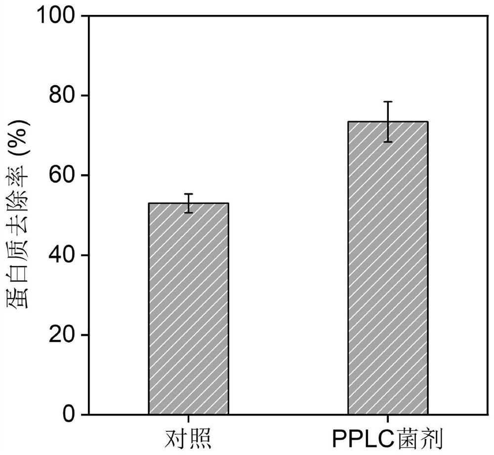 High-efficiency composting microbial inoculum based on gradient conversion of human excrement PPLC from organic matters as well as preparation method and application of high-efficiency composting microbial inoculum