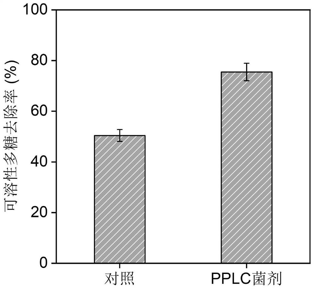 High-efficiency composting microbial inoculum based on gradient conversion of human excrement PPLC from organic matters as well as preparation method and application of high-efficiency composting microbial inoculum