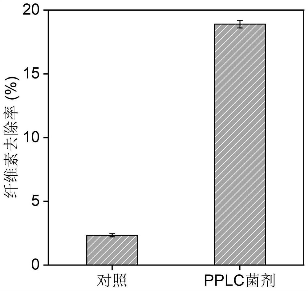 High-efficiency composting microbial inoculum based on gradient conversion of human excrement PPLC from organic matters as well as preparation method and application of high-efficiency composting microbial inoculum