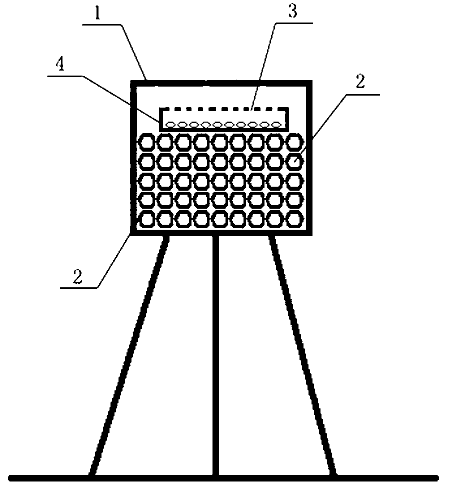 Method for pollinating and producing seeds of rapes by osmia