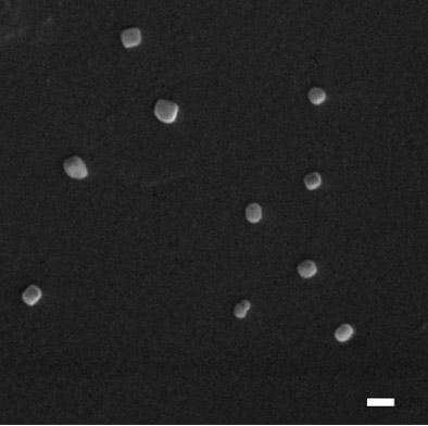 Mannose-modified thiolated chitosan quaternary ammonium salt nanoparticle, preparing method and application thereof