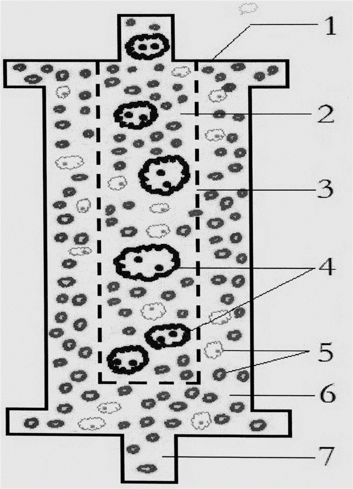 AIDS immunoadsorption therapy apparatus