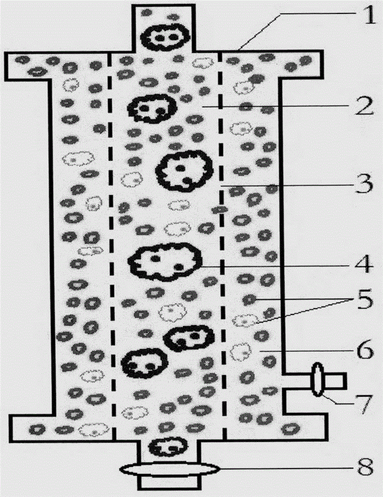 AIDS immunoadsorption therapy apparatus