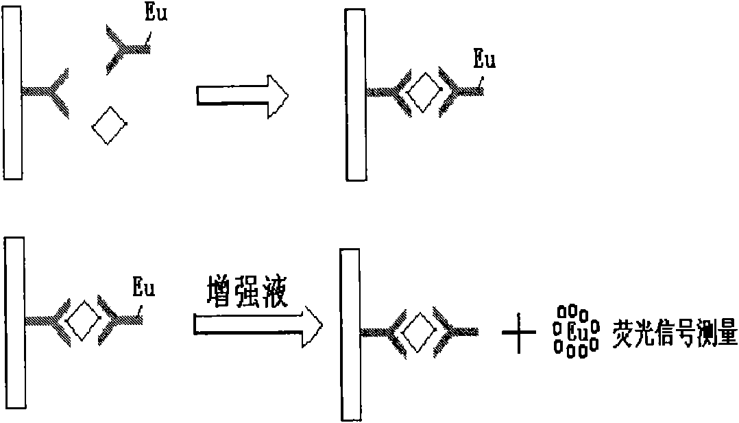 Prolactin time-resolved fluoroimmunoassay method and kit