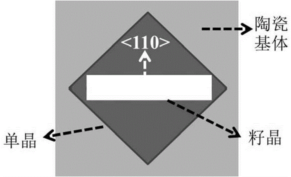 Potassium sodium niobate based single crystal and preparation method thereof